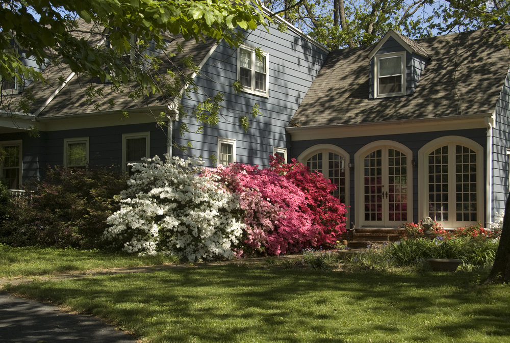 Pretty,Old,House,With,Azaleas,In,Front